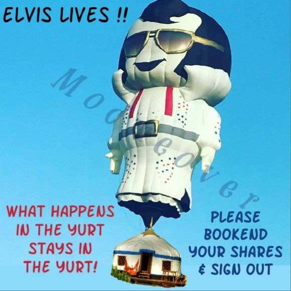 THIS BUS IS SOO FULL!โญPLEASE LOAD THE NEXT 1 ๐SO FUN๐ - Picture 4 of 10